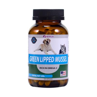GREEN LIPPED MUSSEL